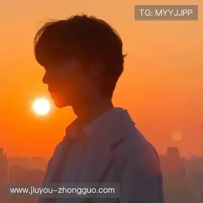 陆冶书